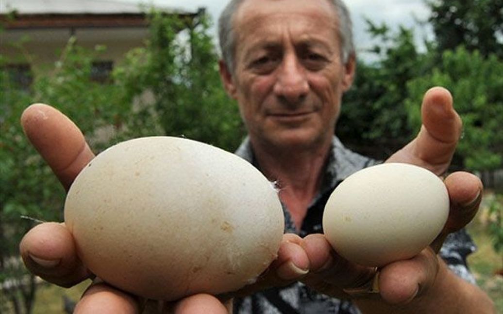 Грузія, Зестафоні. Грузинський селянин Мурмані Модебадзе демонструє гігантське куряче яйце (82 мм у висоту, 62 мм у ширину, вагою 170 грам), яке знесла його курка. Родина Модебадзе представила яйце для включення у книгу рекордів Гіннеса. / © AFP