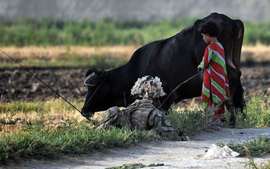 Афганська дівчинка пасе корову поруч із солдатом, який знаходиться на патрулюванні поруч із селом Нахр-Е-Сарай. / © AFP