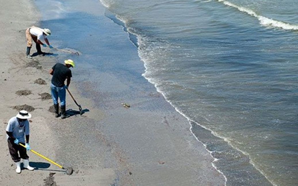США, Гранд-Айл. Працівники збирають пісок, забруднений нафтою, яка розлилася після аварії на глибоководній платформі "Deepwater Horizon" компанії BP у Мексиканській затоці. На пляжах острова Гранд-Айл у штаті Луїзіана працюють кілька бригад з очищення пляжів. / © AFP