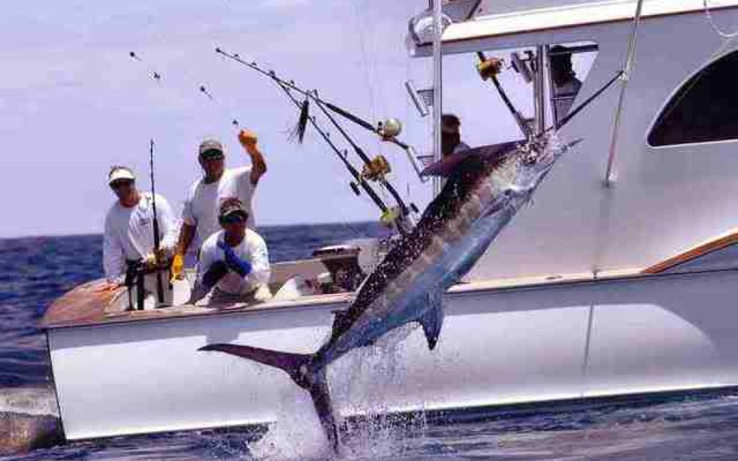 Марлін. Риболовля - традиційна розвага туристів на Кубі / © photobucket.com