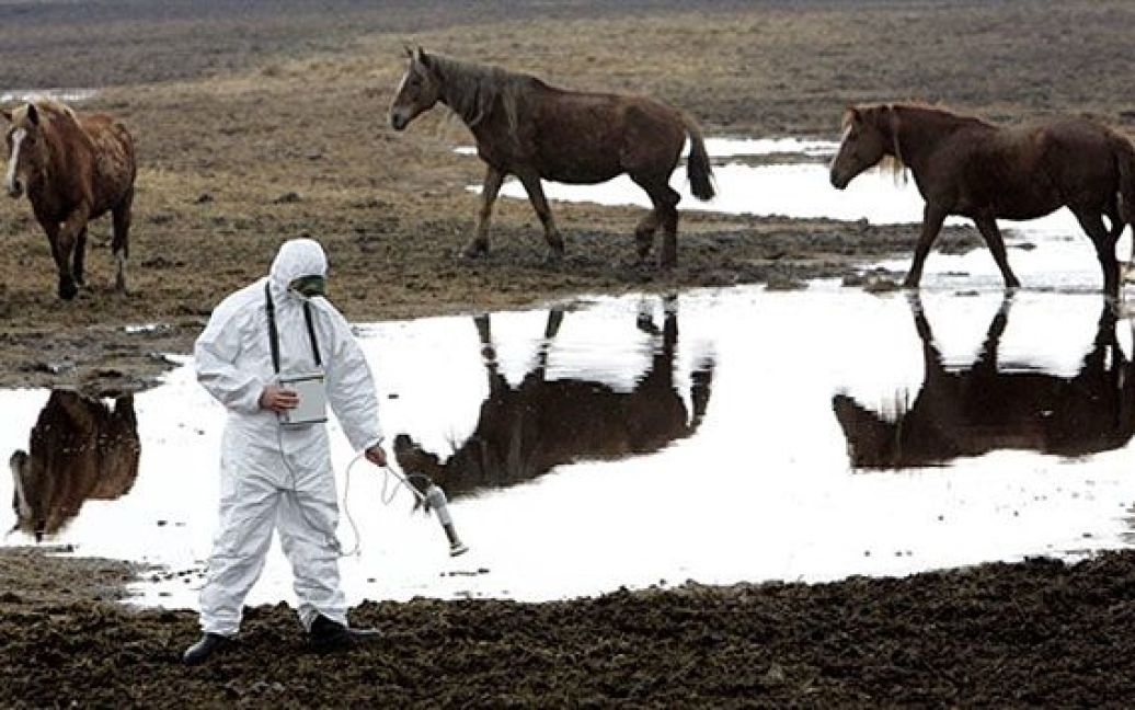 Білорусь, Воротець, 30-км зона. Співробітник Білоруського підрозділу радіаційної екології вимірює рівень радіації. / © AFP