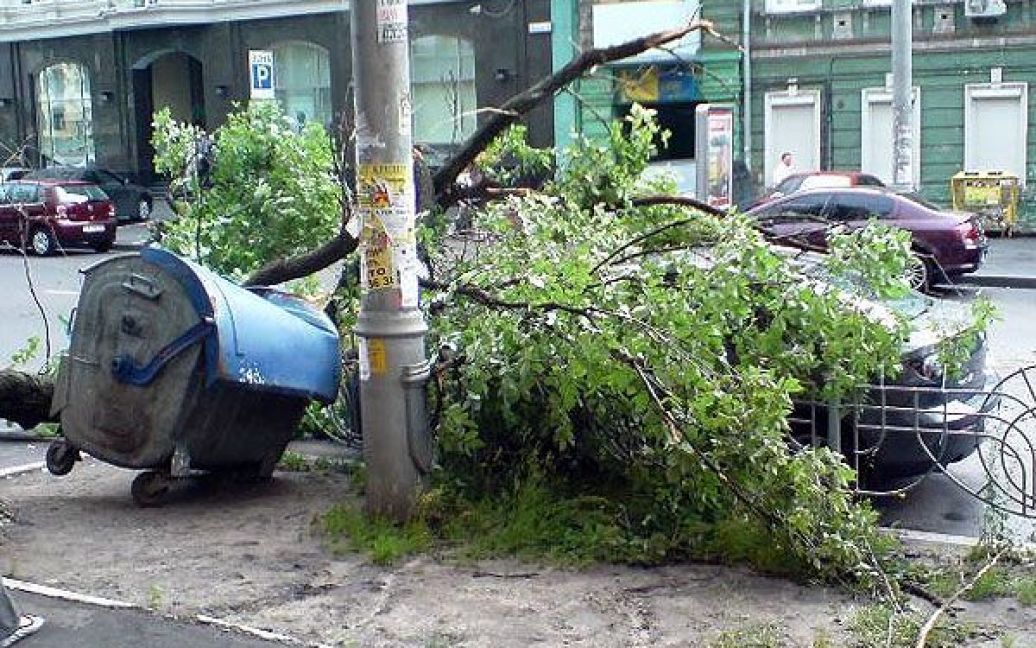У Солом&rsquo;янському, Голосіївському і Шевченківському районах виявлено десятки машин, привалених деревами, одна з них відновленню не підлягає - розбита вщент. / © gazeta.ua