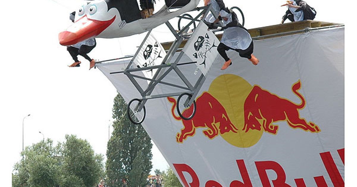 Команда "Пінгвіни Київського зоопарку" пролетіли 14 метрів і зайняли третє місце.