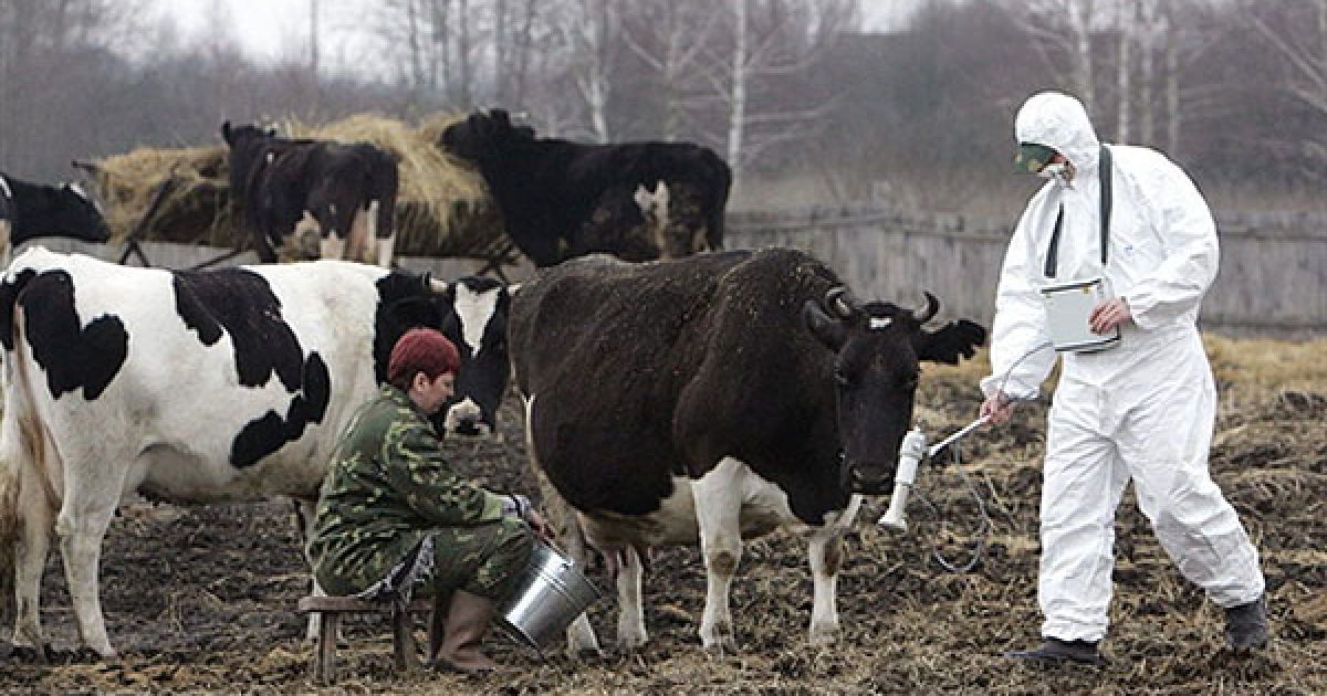 Чорнобиль увійшов у топ-10 наймоторошніших місць для туристів
