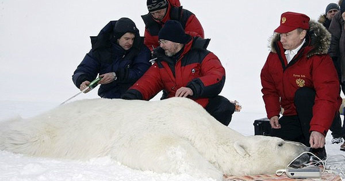 Учасники експедиції вимірюють тварину. / © AFP