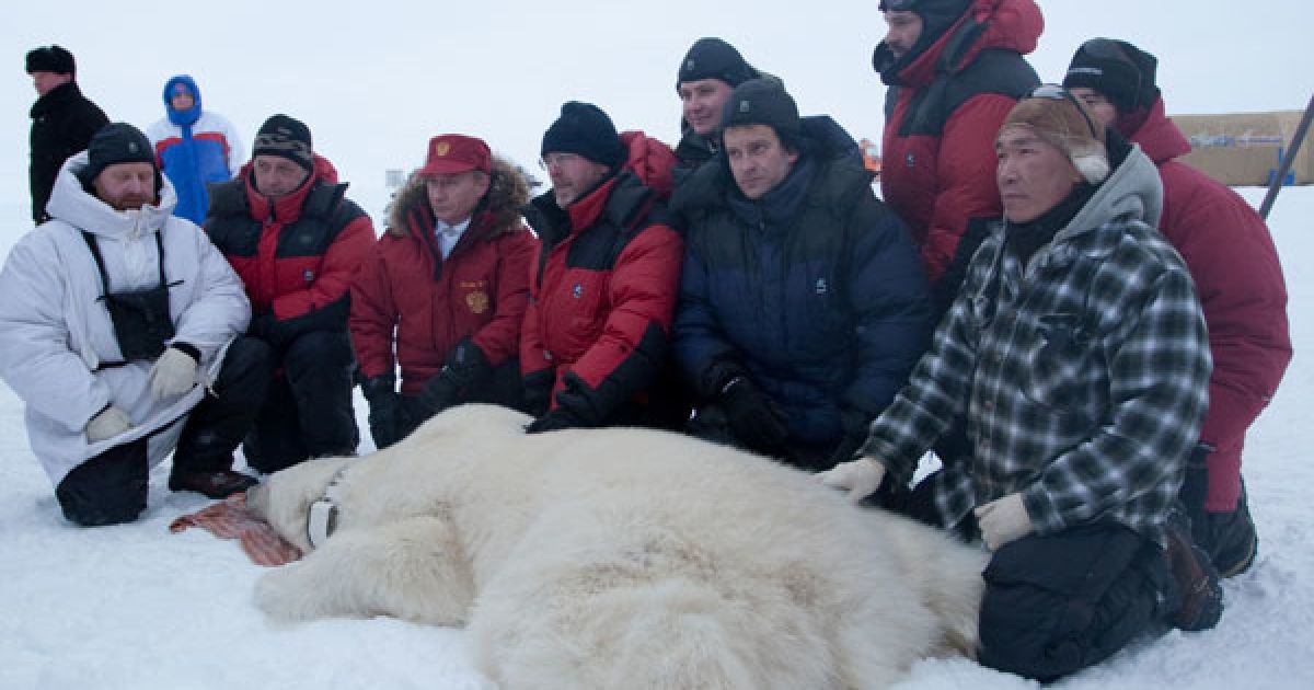 За допомогою супутникового нашийника вчені зможуть стежити за міграцією тваринни, встановлювати його добову і сезонну активність, визначити ареали проживання, шляхи переміщення. / © Вести.ру