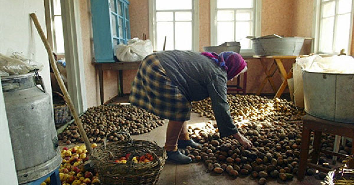 У 1986 році все населення чорнобильської зони було евакуйоване: 27 квітня - місто Прип’ять, 2 і 3 травня - 10-км зона, 4-7 травня - 30-км зона. / © AFP