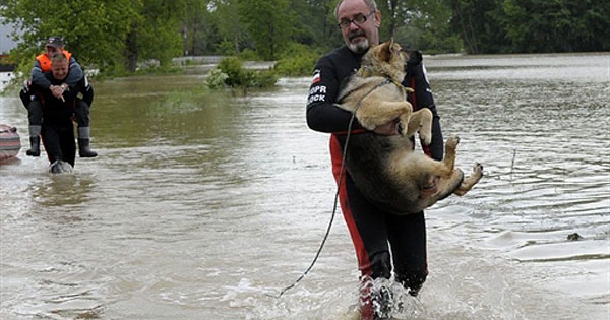 Мешканці затоплених будинків рятують домашніх тварин і сусідів / © AFP