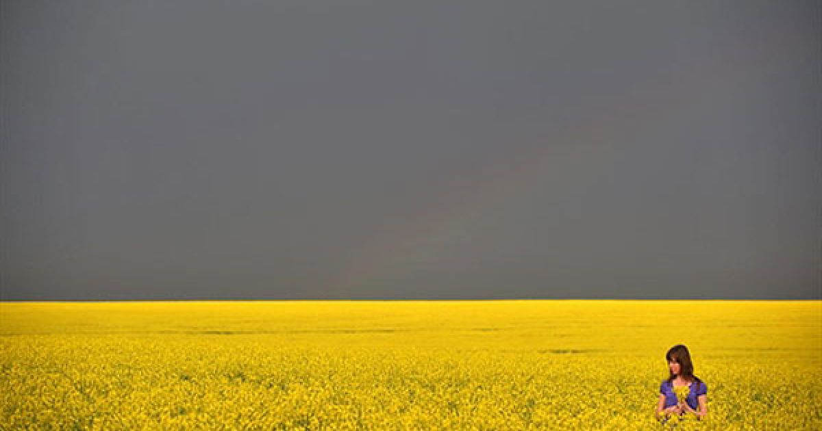 Україна. дівчинка збирає квіти ріпаку у полі перед грозою. / © AFP