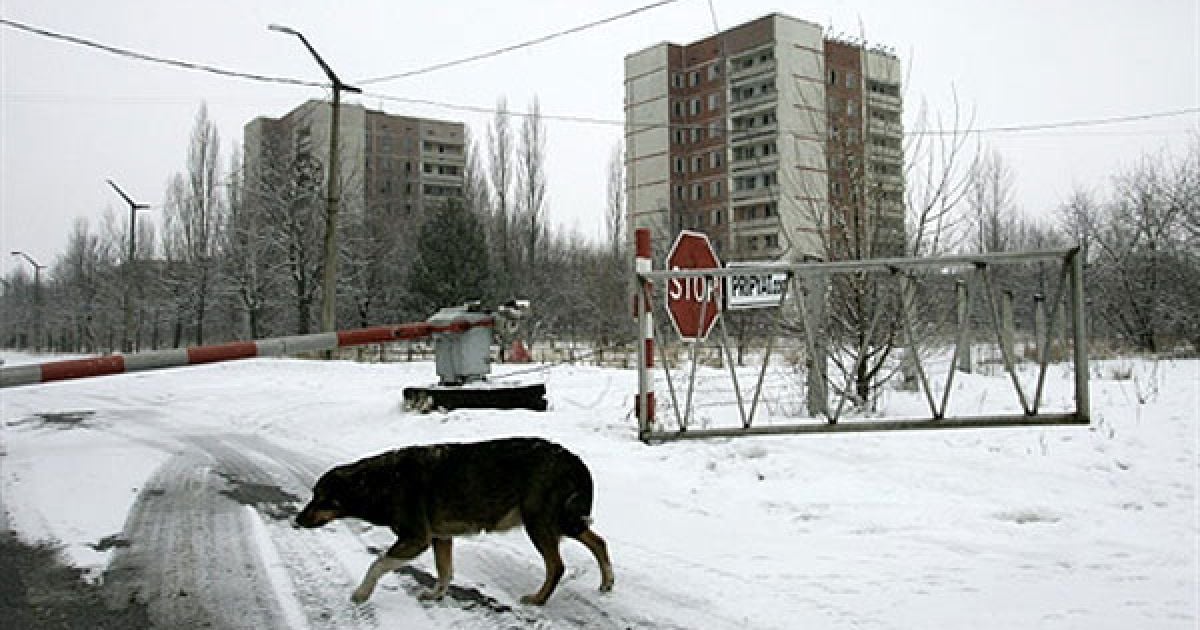 На початок 2010 року на території зони відчуження мешкало більше 250 людей у 10 різних селах, з них більше 100 людей - у місті Чорнобиль. / © AFP