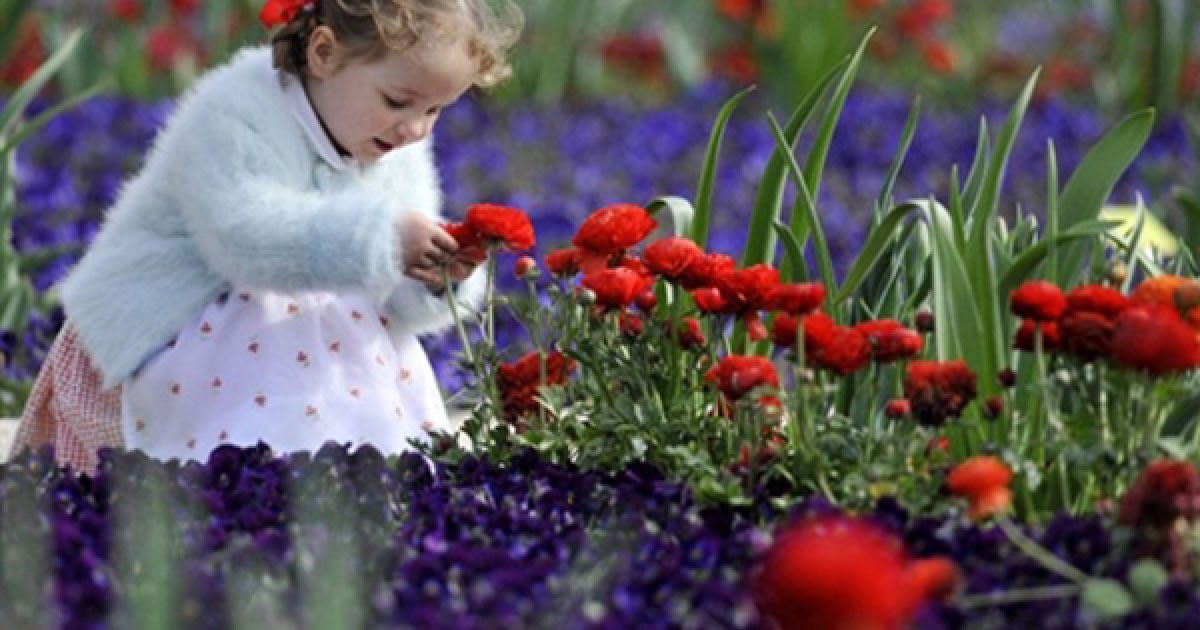 Маленька дівчинка торкається квітів на 16-ій баварській виставці садівництва у Ронехаймі. / © AFP