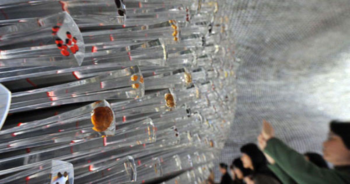 Стіна павільйона Великобританії на всесвітній виставці "Expo 2010" / © The Telegraph