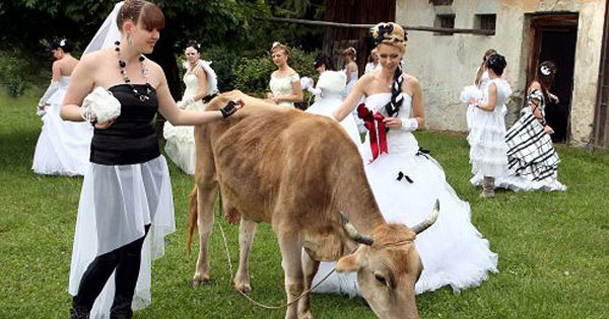 Головною метою заходу було привернути увагу молоді до цінностей сім'ї, шлюбу та родинних традицій. / © УНІАН