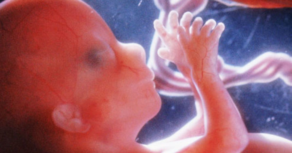 Медиків покарали за те, що викинули в лісі 250 людських ембріони