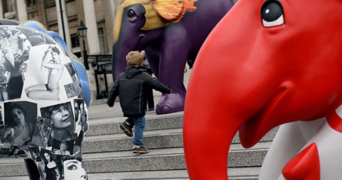 Кошти, зібрані під час благодійної акції, планують передати організаціям із захисту навколишнього середовища / © Getty Images/Fotobank