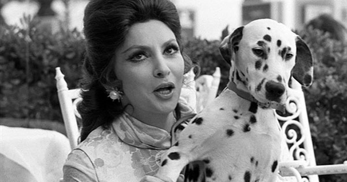1972 рік. Італійська актриса Джина Лоллобріджида позує з далматіном 16 травня 1972 року. Джина Лоллобріджида була визнана "Найкрасивішою жінкою у світі" після головної ролі у фільмі 1955 року. / © AFP