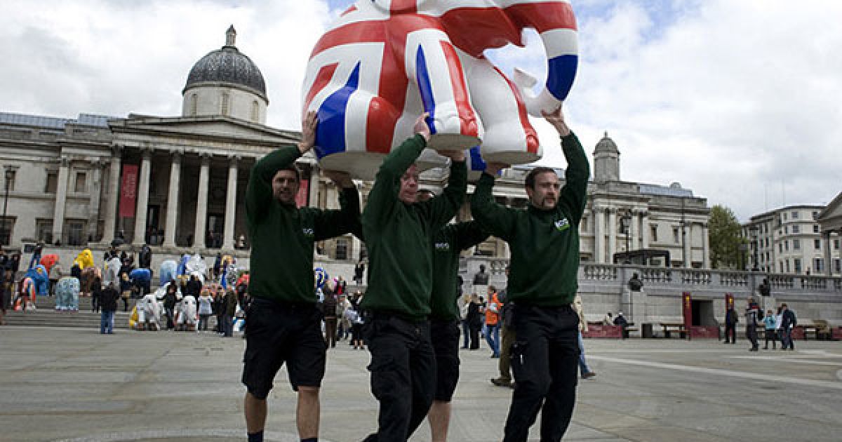 На вулицях Лондона виставили більше 250 величезних розфарбованих скульптур слонів. / © Getty Images/Fotobank