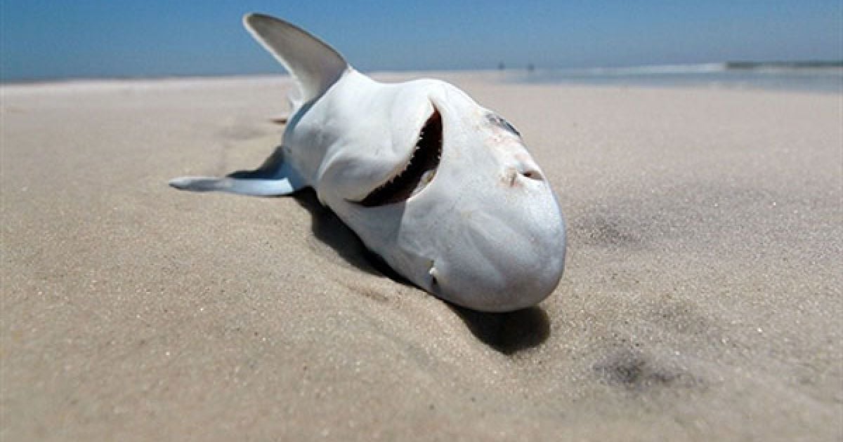 Зупинити поширення забруднення поки не вдається.