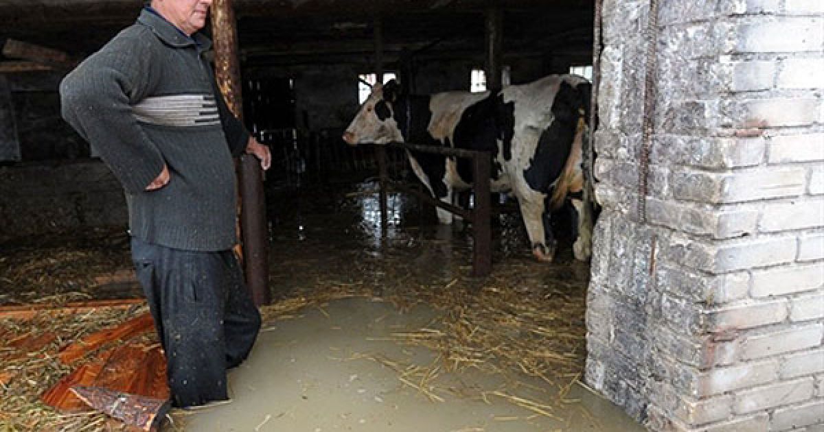 По всій країні тисячі людей були змушені залишити домівки. / © AFP