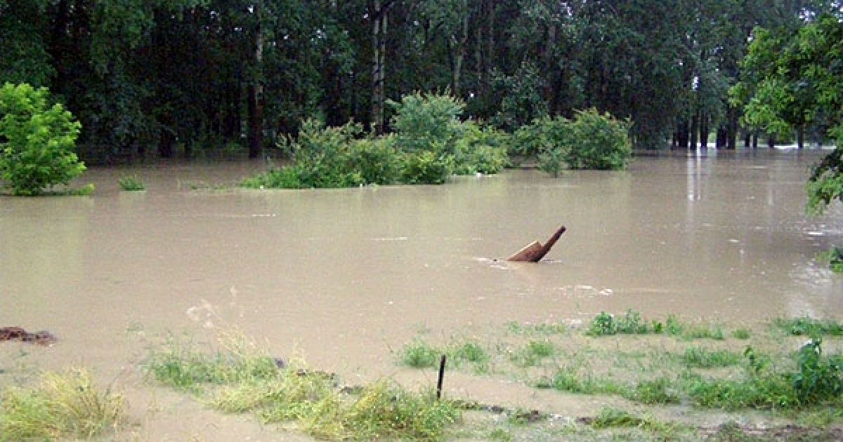 Буковина потерпає від повені / © МНС