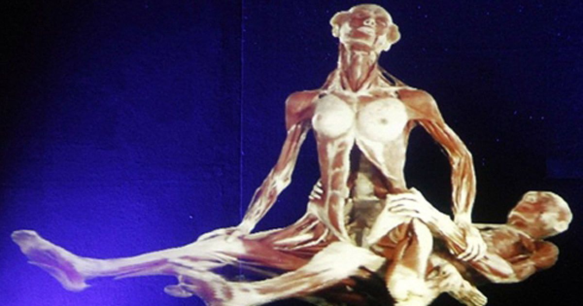 Голографічне зображення пари під час статевого акту роботи німецького пластинатора Гюнтера фон Хагенса на виставці "Світи тіла" у Бременському музеї. Адміністрація музею відмовилася виставляти оригінальні роботи, тому відвідувачі мають змогу побачити лише голограми робіт. / © AFP