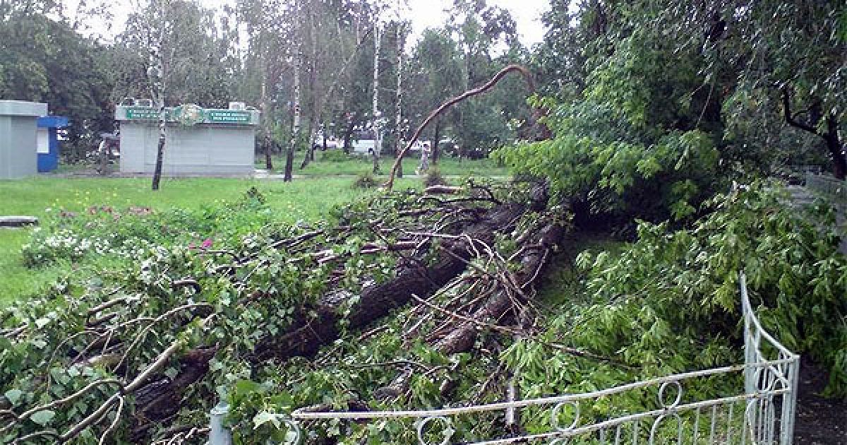На Київ обрушилася буря: шквальний вітер з дощем, блискавками і громом виривав з коренем не лише дерева, але й стовпи, гнув білборди і трощив автомобілі, кидаючи на них важкі гілки. / © gazeta.ua