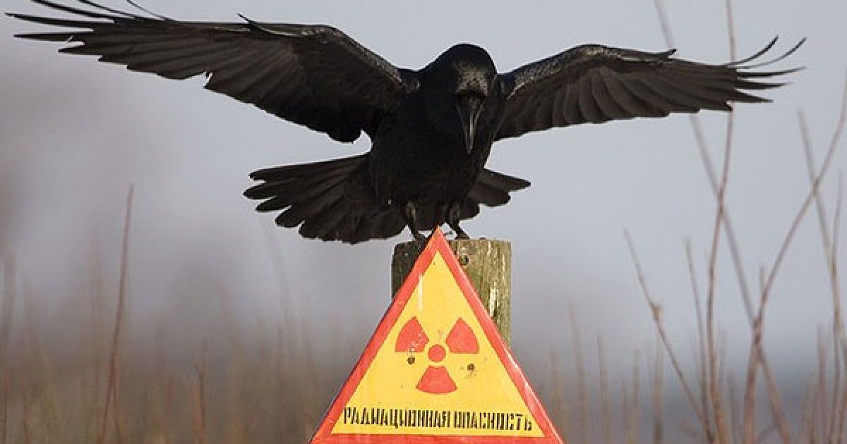 26 квітня 1986 року в Україні сталася наймасштабніша техногенна катастрофа - аварія на Чорнобильській атомній електростанції. / © AFP