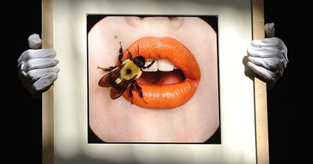 Великобританія, Лондон. Фотографію Ірвінга Пенна "Бджола", зроблену у 1995 році, продадуть на аукціоні Christie&#039;s. Очікується, що ціна фотографії досягне 15-20 тисяч фунтів стерлінгів. / © AFP