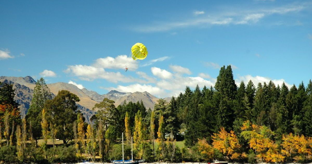 dynamicdiversions.org