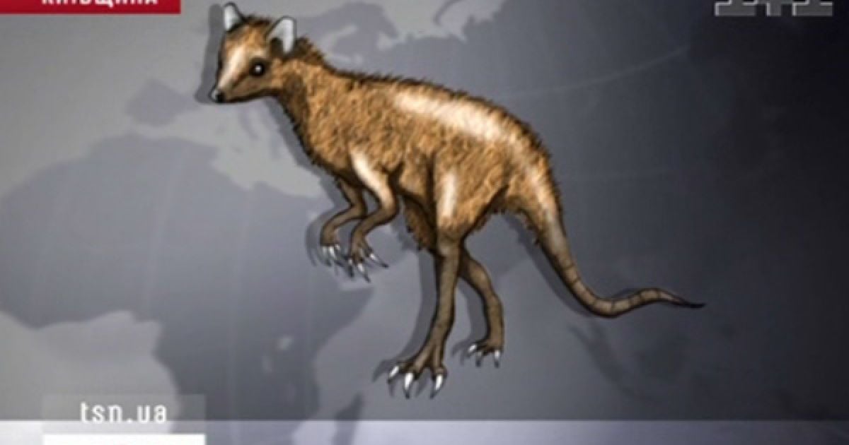 Під Києвом з'явилася Чупакабра