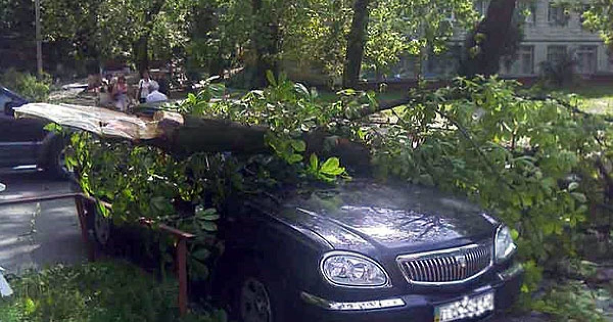 За інформацією гендиректора "Київзеленбуду" Ярослава Макарчука, найсильніше ураган розійшовся в Солом&rsquo;янському районі, хоча пролетів практично по всіх.