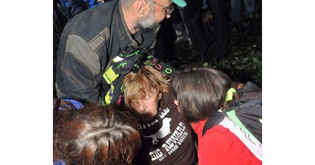 Почалася сутичка: невідомі відтягали захисників від дерев, деяких били ногами. / © УНІАН