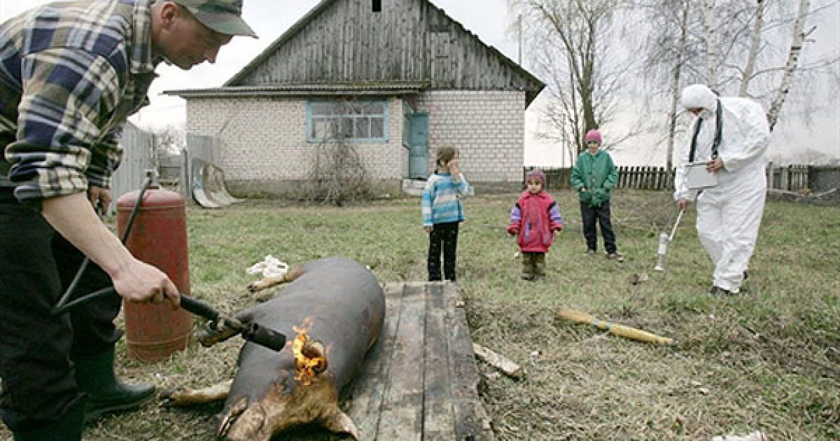 Білорусь, Губаревичі, 30-км зона. Співробітник Білоруського підрозділу радіаційної екології перевіряє рівень радіації. / © AFP