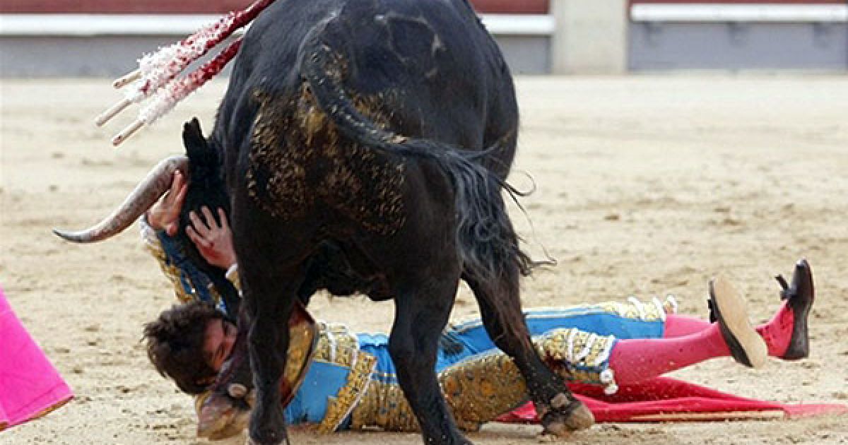 Іспанія, Мадрид. Бик повалив французького матадора Себастьяна Кастеллі під час кориди на арені Лас-Вентас, яку провели на честь святкування Сан-Ісідро у Мадриді. / © AFP