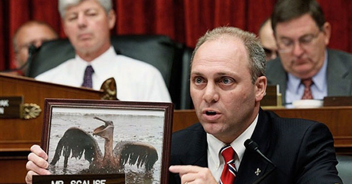 США, Вашингтон. Стів Скаліз тримає фотографію пелікана, вкритого нафтою, під час допиту виконавчого директора компанії "BP" Тоні Хейворда в ході розслідування ролі "BP" у вибуху на глибоководній платформі "Deepwater Horizon" та пошуку шляхів ліквідації катастрофічного розливу нафти у Мексиканській затоці. "BP" погодилися покласти 20 мільярдів доларів США на цільовий депозитний рахунок, який використовуватимуть для ліквідації наслідків аварії. / © AFP