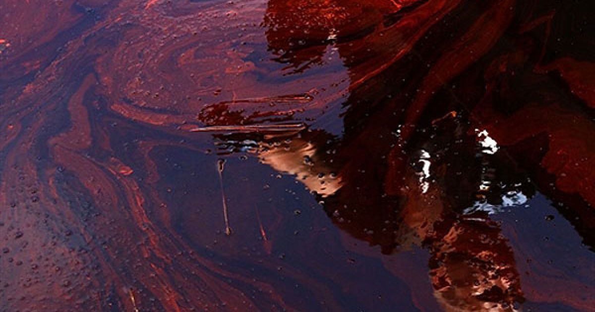 США. Репортер Андерсон Купер дивиться на своє відображення у воді, забрудненій нафтою, під час відвідування районів, де нафтова пляма забруднила берег, штат Луїзіана.  Фахівцям з компанії BP нарешті вдалося зупинити витік нафти з ушкодженої свердловини у Мексиканській затоці за допомогою накачування в ушкоджену свердловину спеціального цементуючого розчину. / © AFP