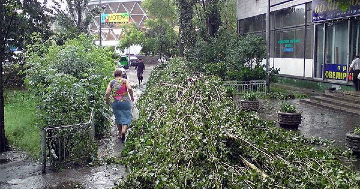 З корінням було вирвано 83 дерева. / © gazeta.ua