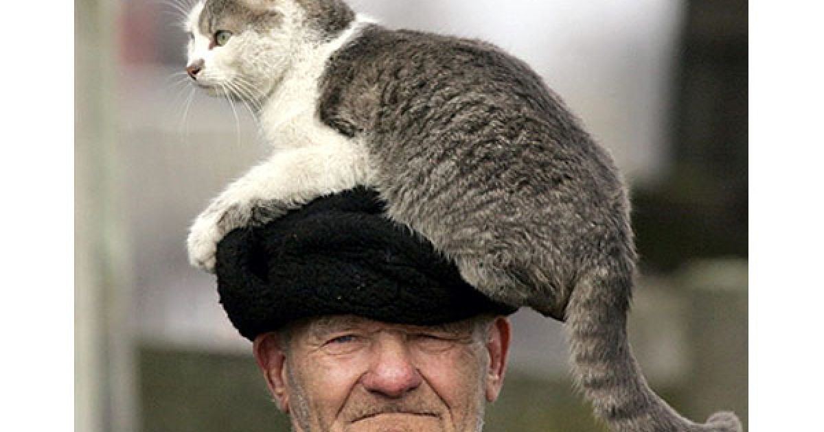 Білорусь, Стрелічево, 30-км зона. Євген Штанюк і його кішка. / © AFP