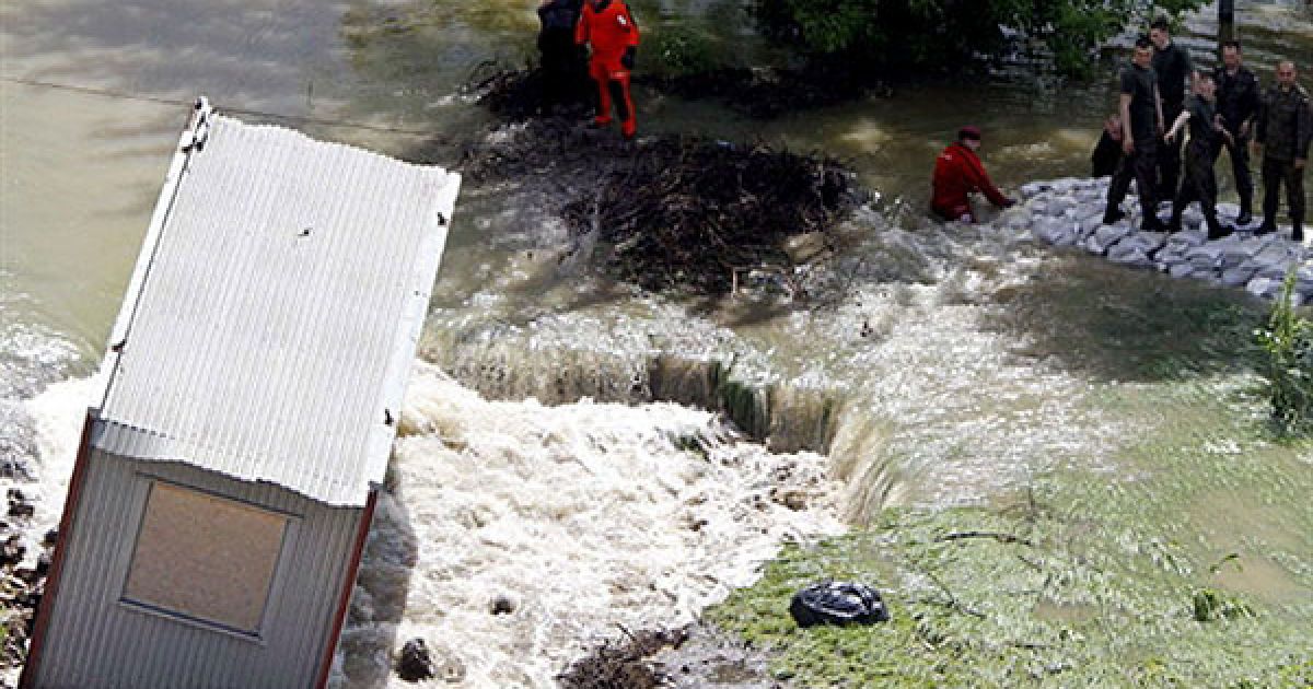 Голова МВС Польщі заявив, що винуватцями повеней у Польщі стали бобри. / © AFP