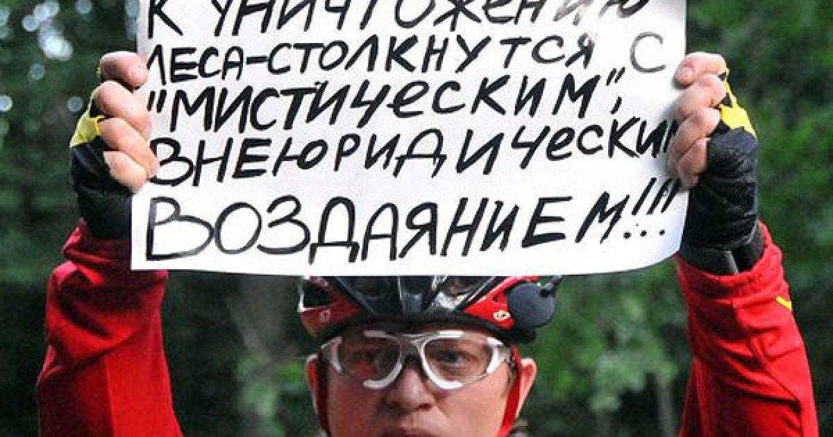Екологічна група "Печеніги", заявляє, що вирубка відбувається без узгодження з Міністерство охорони природи / © УНІАН
