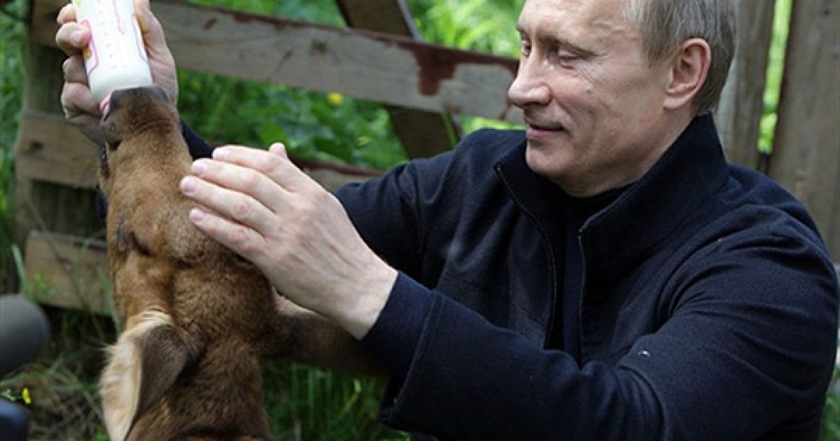 5.06. Прем&rsquo;єр-міністр РФ Володимир Путін годує маленького лося молоком під час свого візиту до Острова лосів у Московській області. / © AFP