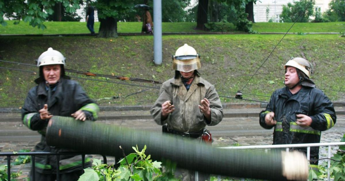 В результаті сильного вітру і зливи в багатьох районах міста повалило дерева, травмовано декілька людей. / © ZAXID.NET