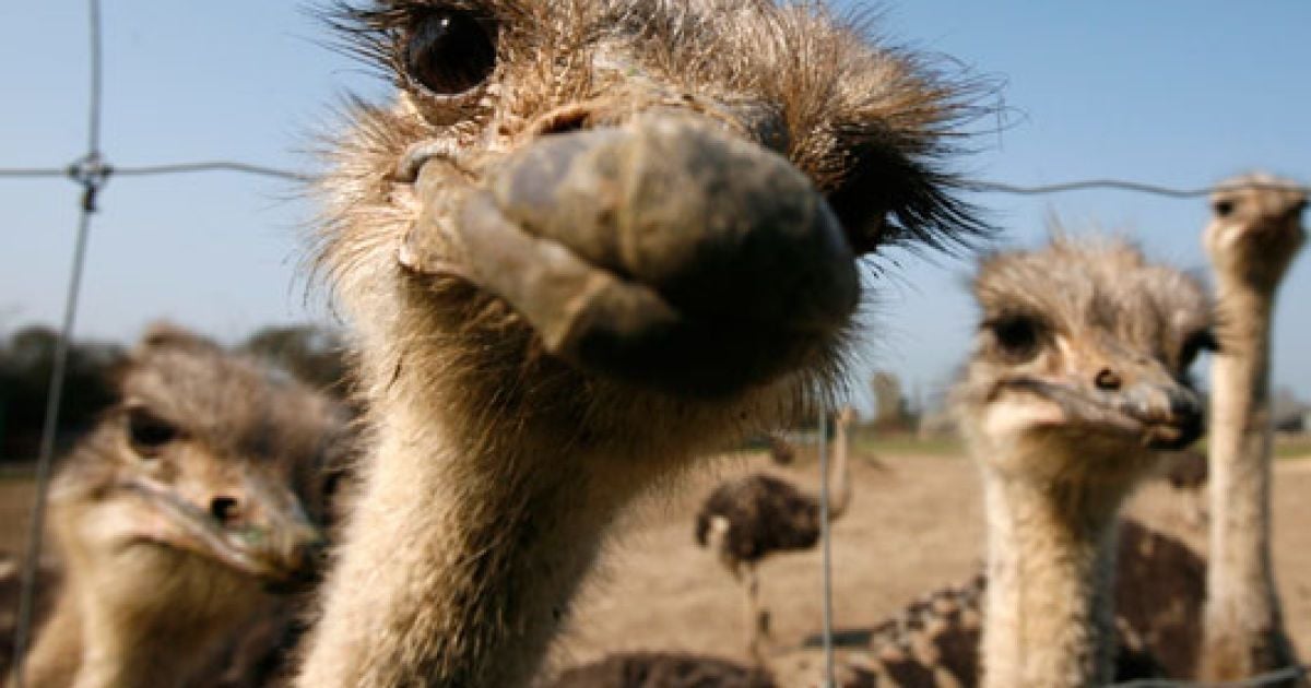 Майбутні спортсмени