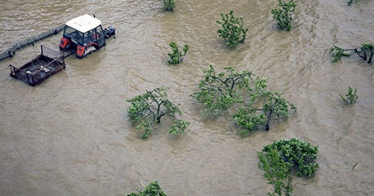 Польська поліція і рятувальні служби проводять масову евакуацію населення в затоплених районах. Для вивозу людей із зони лиха влада використовує гелікоптери та човни. / © AFP