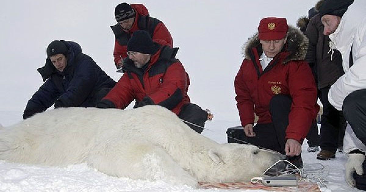 У зв'язку з цим глава уряду Росії підкреслив, що "для нас важливо знати, як пересувається білий ведмідь, як він розмножується, як виховує потомство".