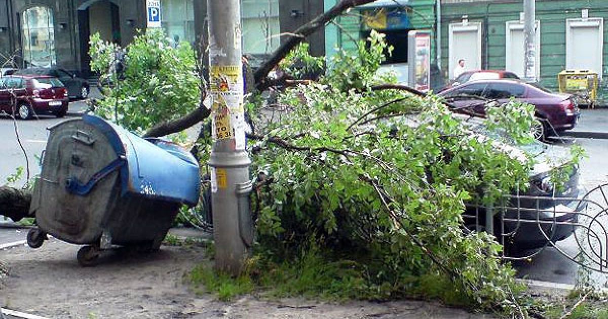 У Солом&rsquo;янському, Голосіївському і Шевченківському районах виявлено десятки машин, привалених деревами, одна з них відновленню не підлягає - розбита вщент. / © gazeta.ua