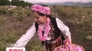 Болгария - розовый рай