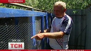 Домохозяйка - призвание и состояние души
