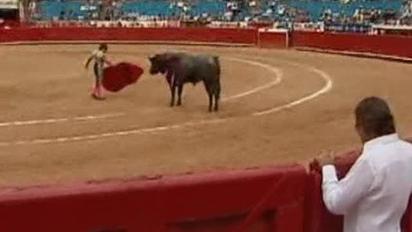 12-річний мексиканець став наймолодшим тореадором