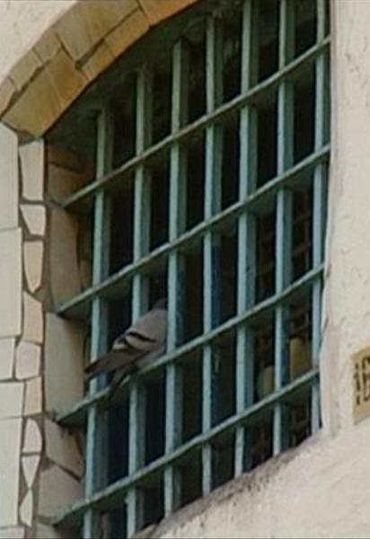 Проституція в Україні: сутенери в погонах